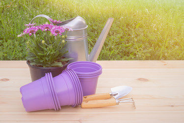 Similar image 21514541