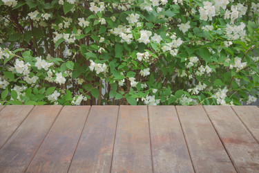 Similar image 21514548