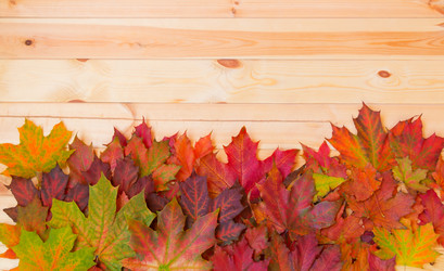 Similar image 21514554