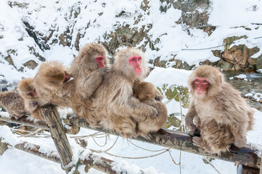 Similar image 21514424