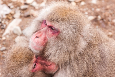 Similar image 21514426