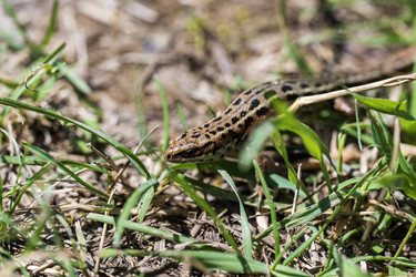 Similar image 21515080