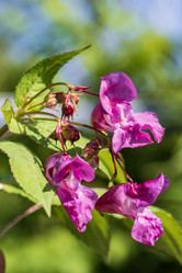 Similar image 21515082