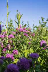 Similar image 21515083