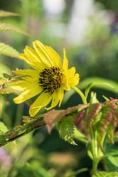 Similar image 21515086