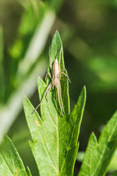 Similar image 21515087