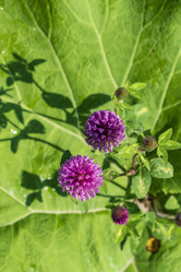 Similar image 21515088