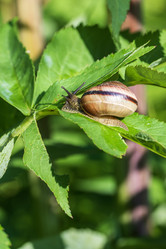 Similar image 21515089