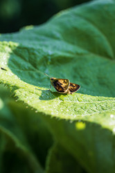 Similar image 21515090