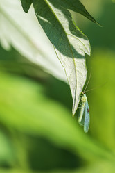 Similar image 21515091