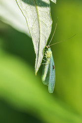 Similar image 21515092