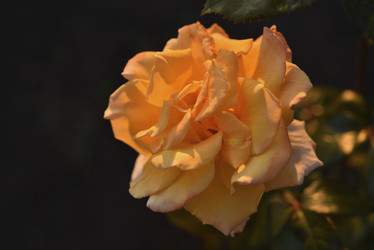 Similar image 21515107