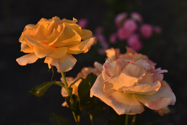 Similar image 21515111