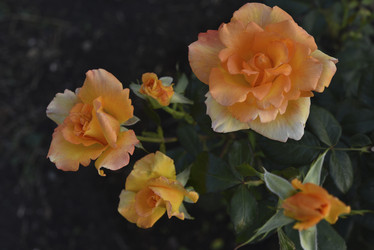 Similar image 21515116