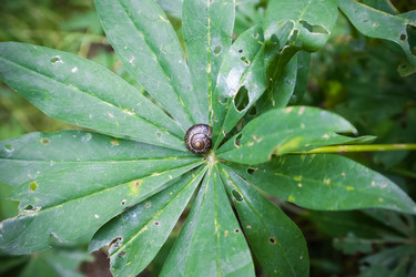 Similar image 21515133