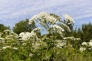 Similar image 21515134