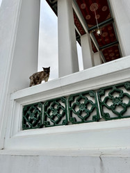 Similar image 21519884