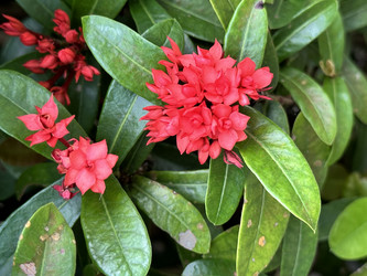 Similar image 21517780