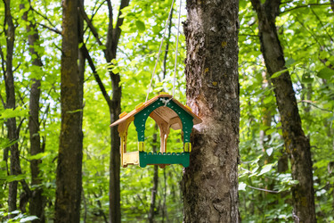 Similar image 21515140