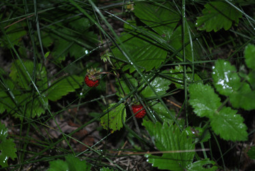 Similar image 21515151