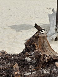 Similar image 21519885