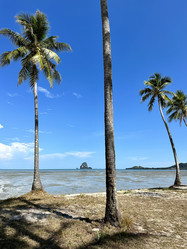 Similar image 21517785