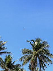 Similar image 21517786