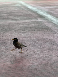 Similar image 21519887