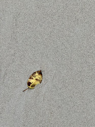 Similar image 21519889