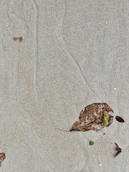 Similar image 21518427