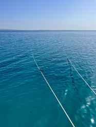 Similar image 21515223