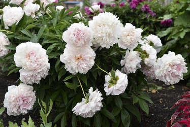 Similar image 21515342