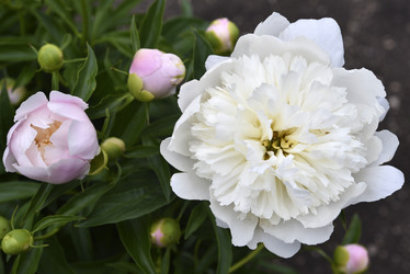 Similar image 21515344