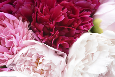 Similar image 21515345