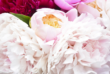 Similar image 21515348