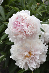 Similar image 21515362