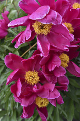 Similar image 21515363