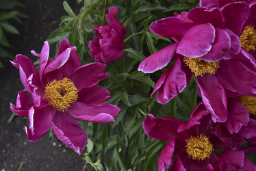 Similar image 21515366