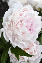 Similar image 21515367