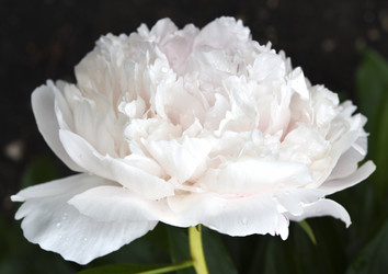 Similar image 21515369