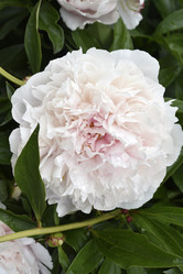 Similar image 21515370