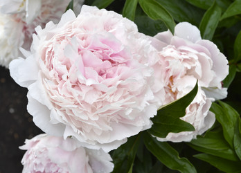 Similar image 21515371