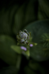 Similar image 21515260