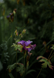 Similar image 21515262