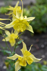 Similar image 21515376