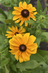 Similar image 21515380