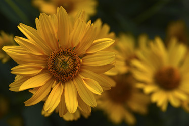 Similar image 21515395