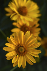 Similar image 21515396