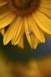 Similar image 21515397