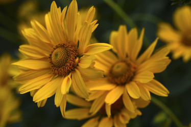 Similar image 21515398